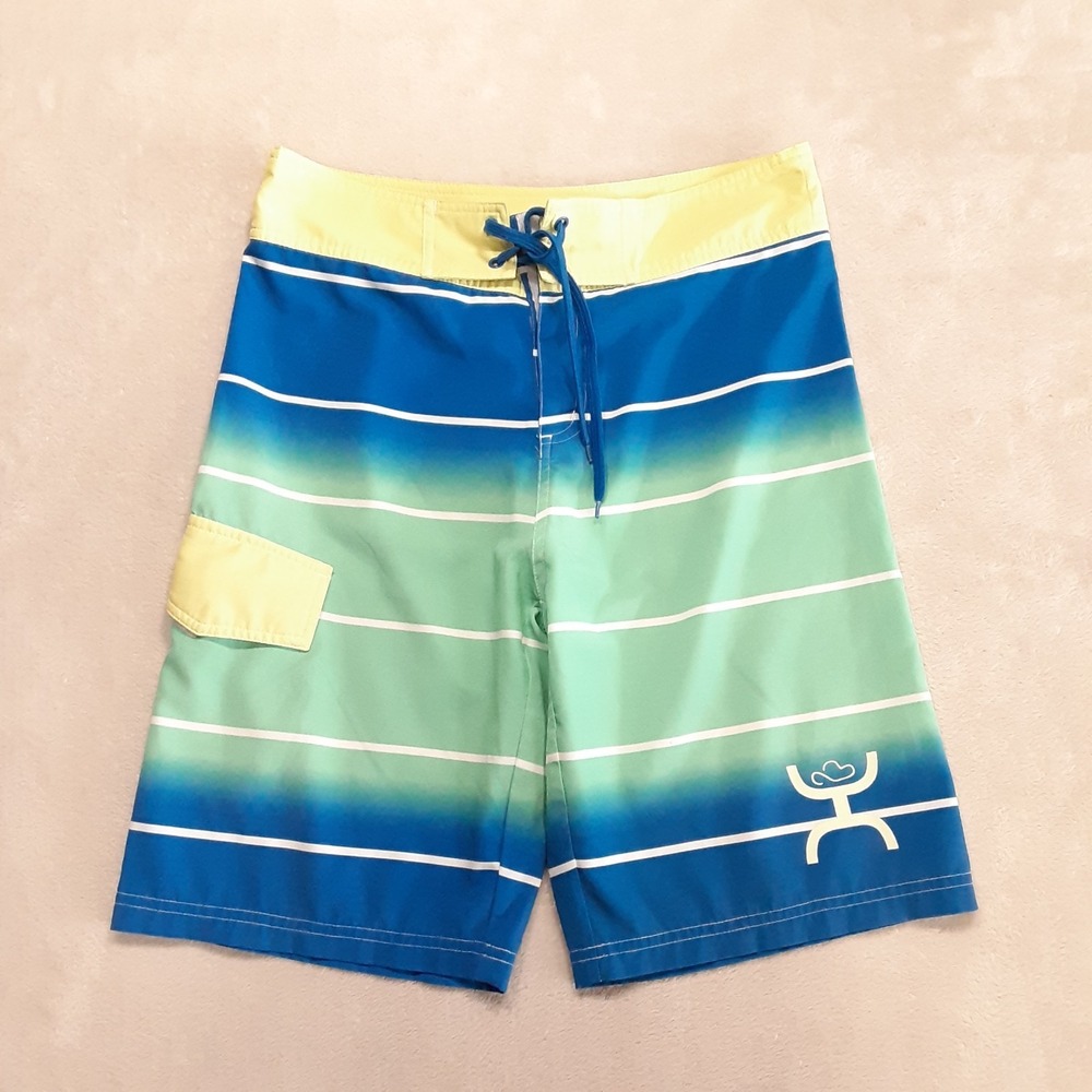 Hooey Mens Bigwake Boardshorts Small Blue Yellow Gradient Striped